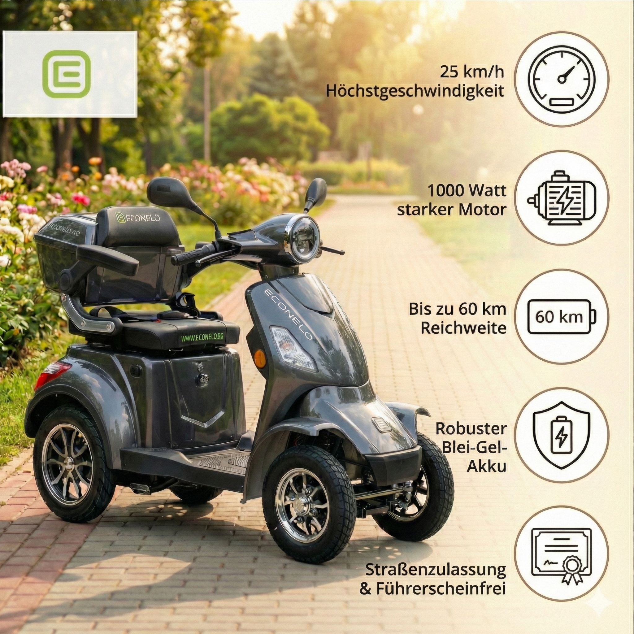 E-Seniorenmobil Voltrixx, Blei-Akku, 4-Rad, 1000 Watt, Grau
