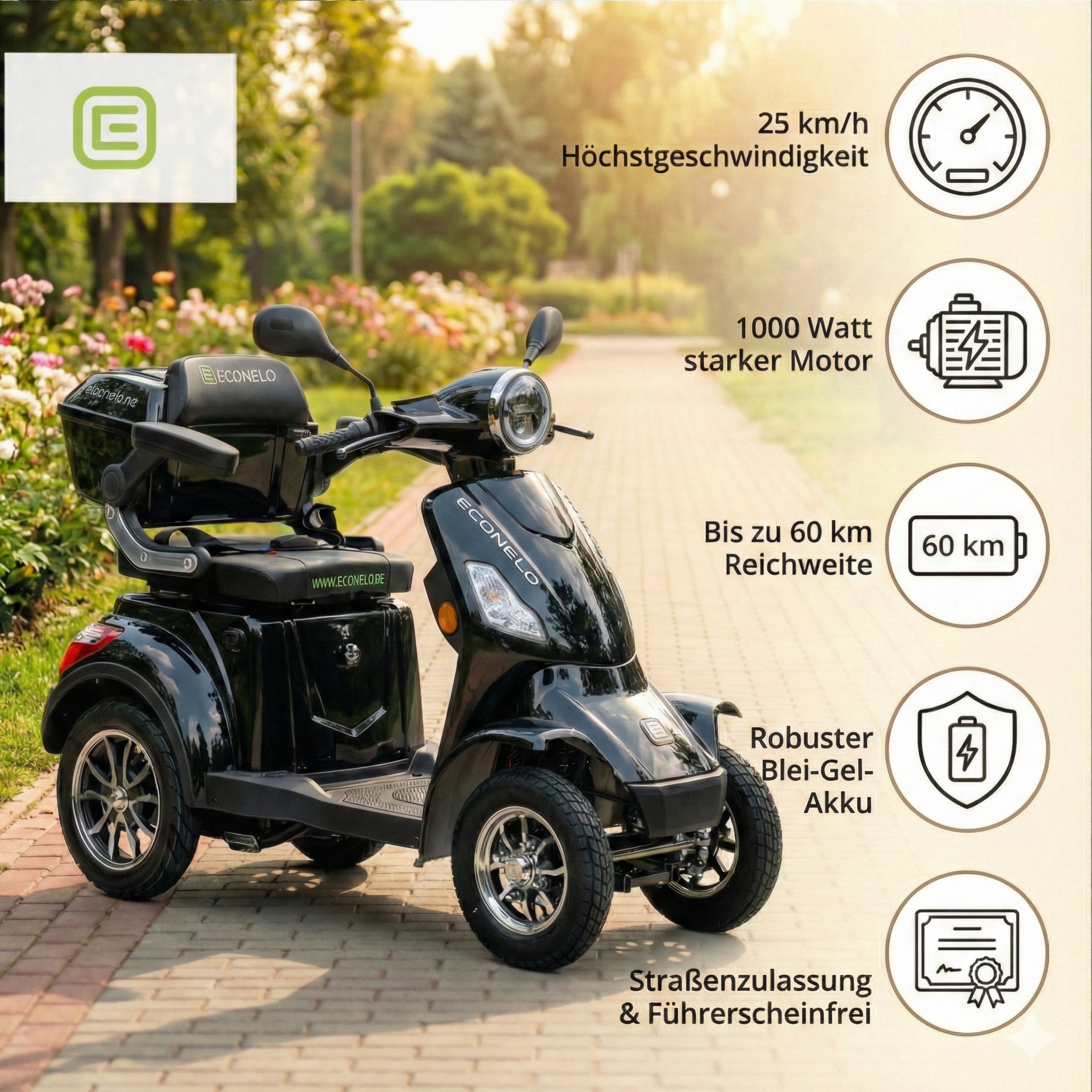 E-Seniorenmobil Voltrixx, Blei-Akku, 4-Rad, 1000 Watt, Schwarz